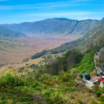 Kopi Bromo: Keunikan dan Kenikmatan dari Lereng Gunung Bromo