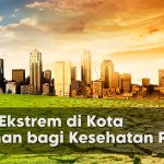 Urban Heat Island: Bahaya Panas Ekstrem di Tengah Kota