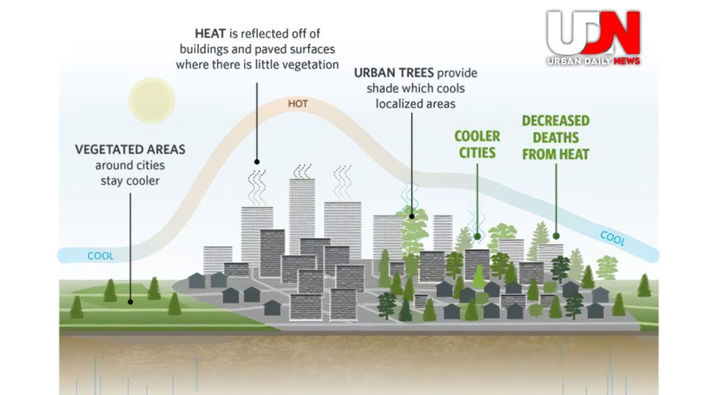 Urban Heat Island: Bahaya Panas Ekstrem di Tengah Kota