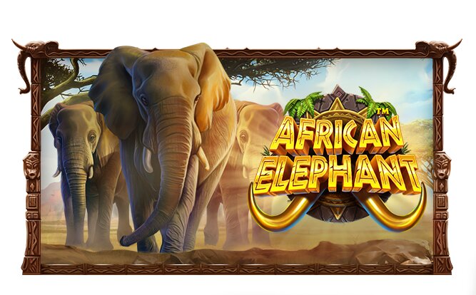 African Elephant: Kesenangan Bermain Slot