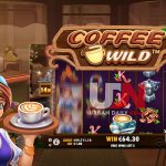 Coffee Wild: Aroma Kemenangan dan Hadiah Besar