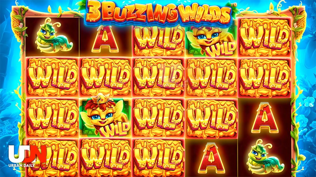 3 Buzzing Wilds: Tips dan Trik untuk Jackpot Besar