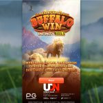 Buffalo Win: Kunci untuk Mencapai Kemenangan Besar