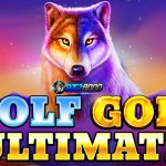 Wolf Gold Ultimate: Game Slot dengan Peluang Terbaik!