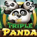 Triple Panda: Slot Penuh Kejutan, Buktikan Keberuntunganmu