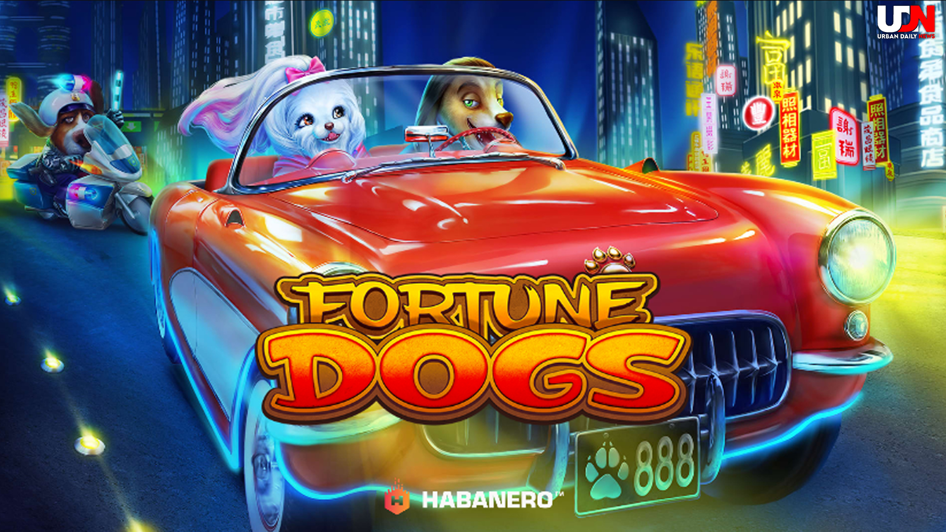 Jajal Keberuntungan di Slot Fortune Dogs dan Menangkan Hadiah